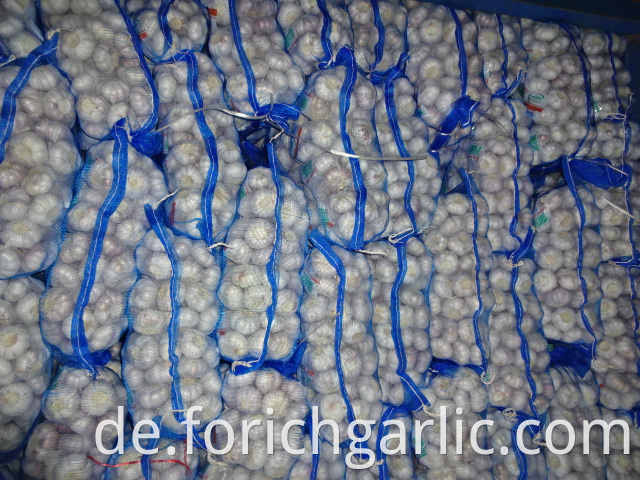 Regular White Garlic Good Quality